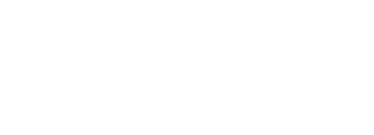 Bridlewood_logo-all-white-transparent.png